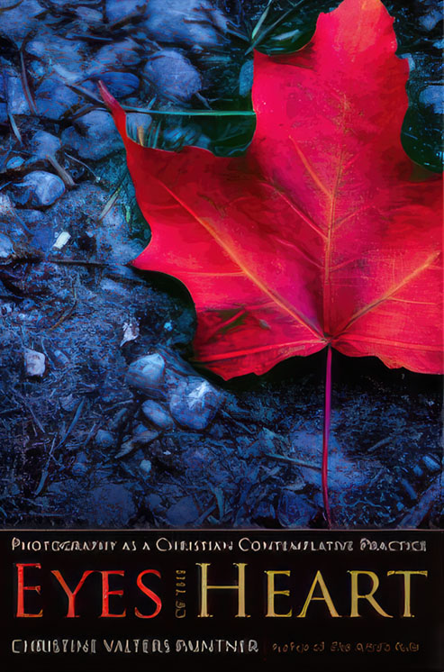 Book cover 1 copyedited by Copy Cat Editing